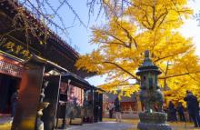 红螺寺2