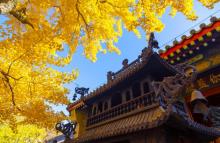 红螺寺15
