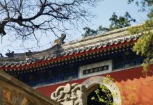 八大处公园10