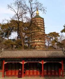 八大处公园29