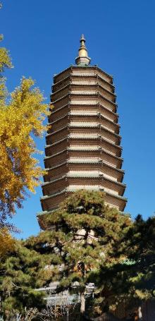 八大处公园21