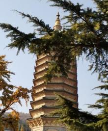 八大处公园25