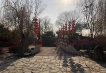 北京大观园21