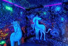 北京独角兽星空艺术馆21