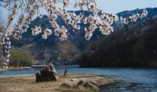黄花城水长城21