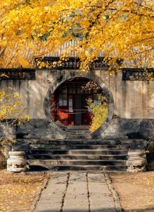 香山公园14