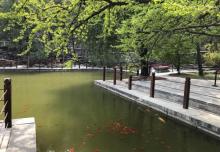 香山公园28