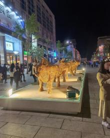 王府井19