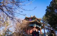 景山公园21