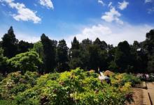 景山公园29