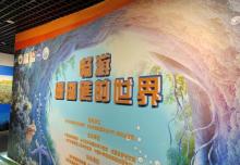 中国地质博物馆11