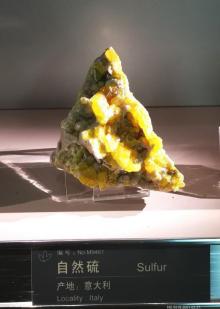 中国地质博物馆29