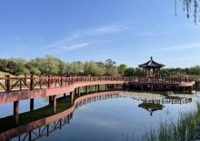 圆明园23