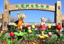 北京野生动物园2