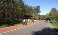 奥林匹克公园19