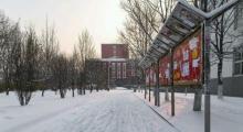 东北大学秦皇岛分校6