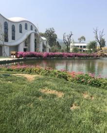花溪谷树桥公园14