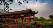 汉牡丹园景区3
