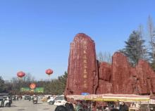 夏津黄河故道森林公园1