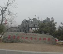 夏津黄河故道森林公园2