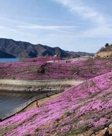 雨花谷生态观光园19