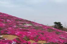 雨花谷生态观光园23