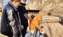 恋乡农场(玉米冒险村)18