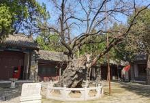 定州文庙14