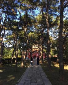 安远庙10