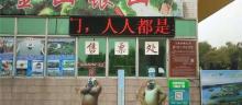 寿光林海生态博览园14