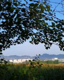 中华三祖圣地黄帝城遗址文化旅游区12