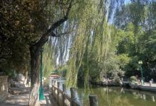 环城公园24
