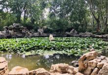 百花公园17