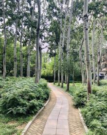 百花公园15