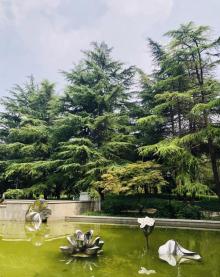 百花公园13