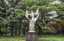 百花公园7