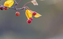 百花公园4