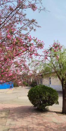 百花公园28
