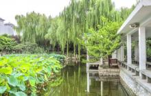 百花公园8