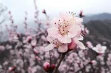 青山关14