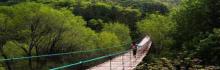黄龙山庄旅游区4