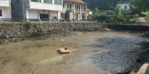 阳丰村