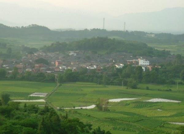 费龙口村