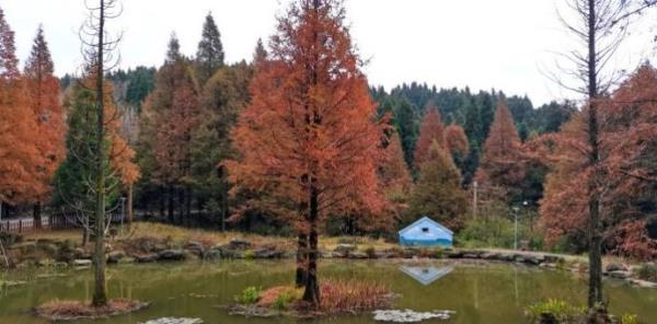 金华市北山林场(金华望湖度假村东)