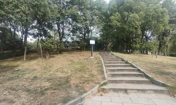 飞凤健康主题公园
