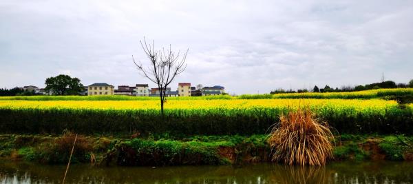 一乐堂村