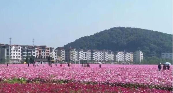 光瑶生态观光园