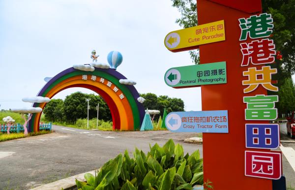 游埠多彩洋港
