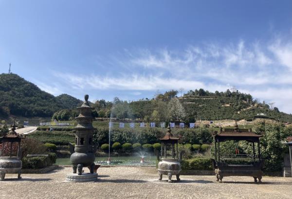 玉山古茶场