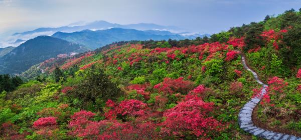 高姥山